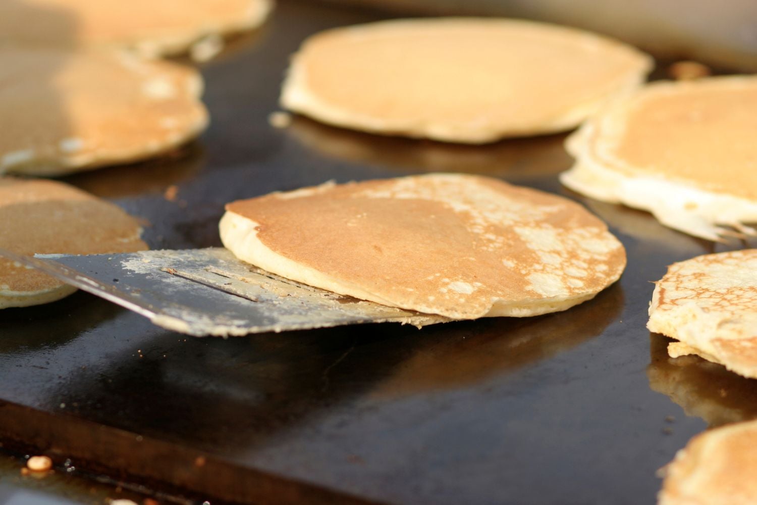 The Best Oil to Season a Blackstone Griddle - Trendgredient